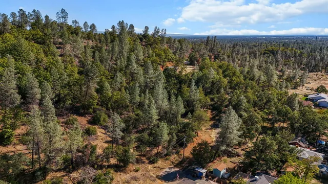 a view of a city with lush green forest