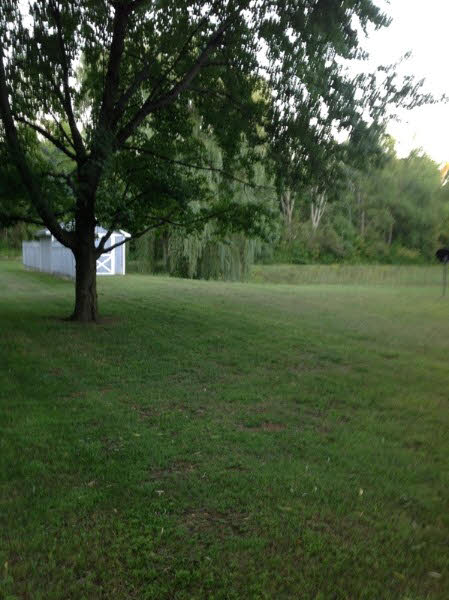 4095 Chambers Road Mayville, MI 48744 - Photo 16 of 17 20372726-15.JPG