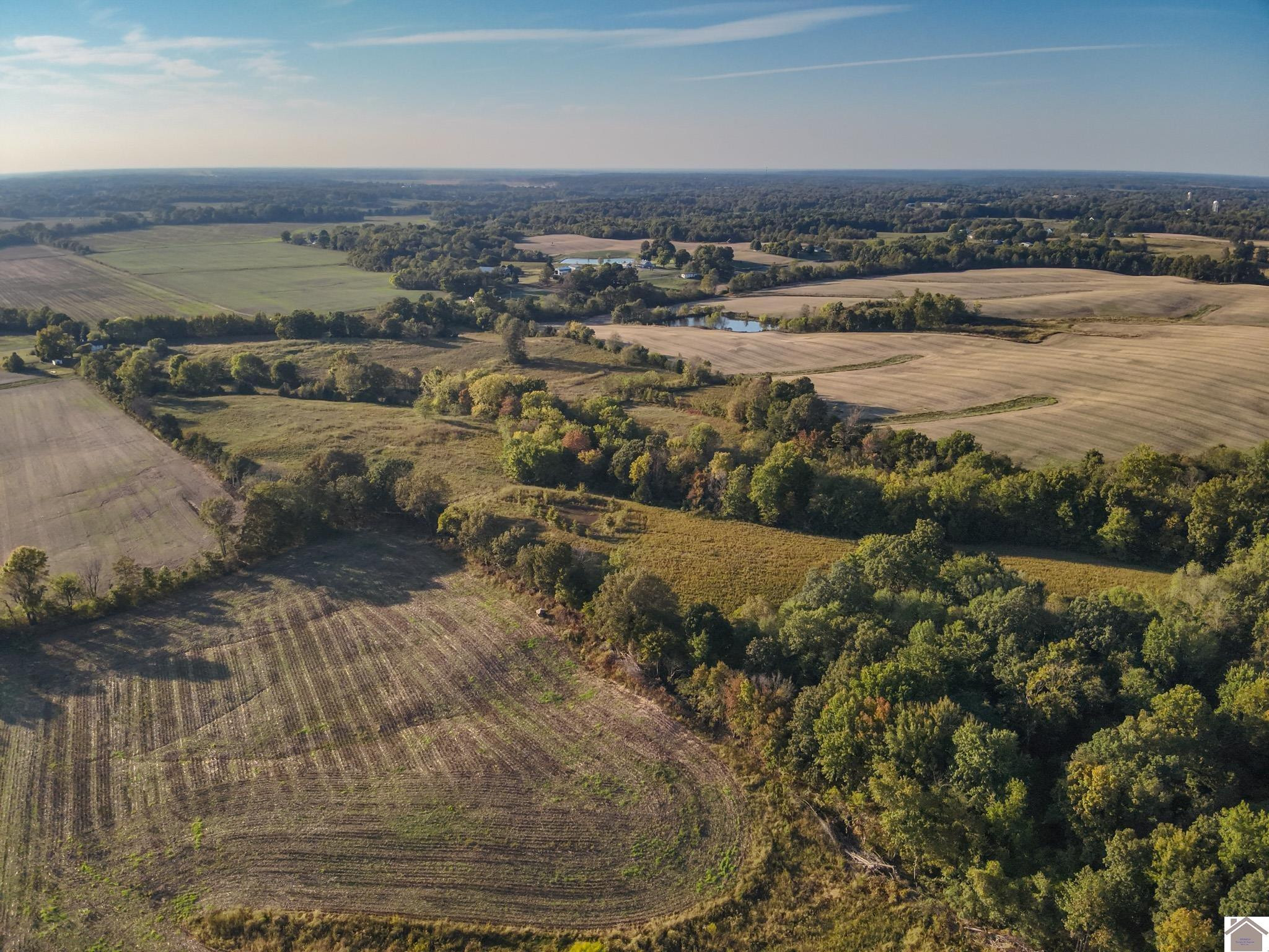 0 Wingo Road Wingo, KY 42088 - Photo 10 of 18 Photo 10