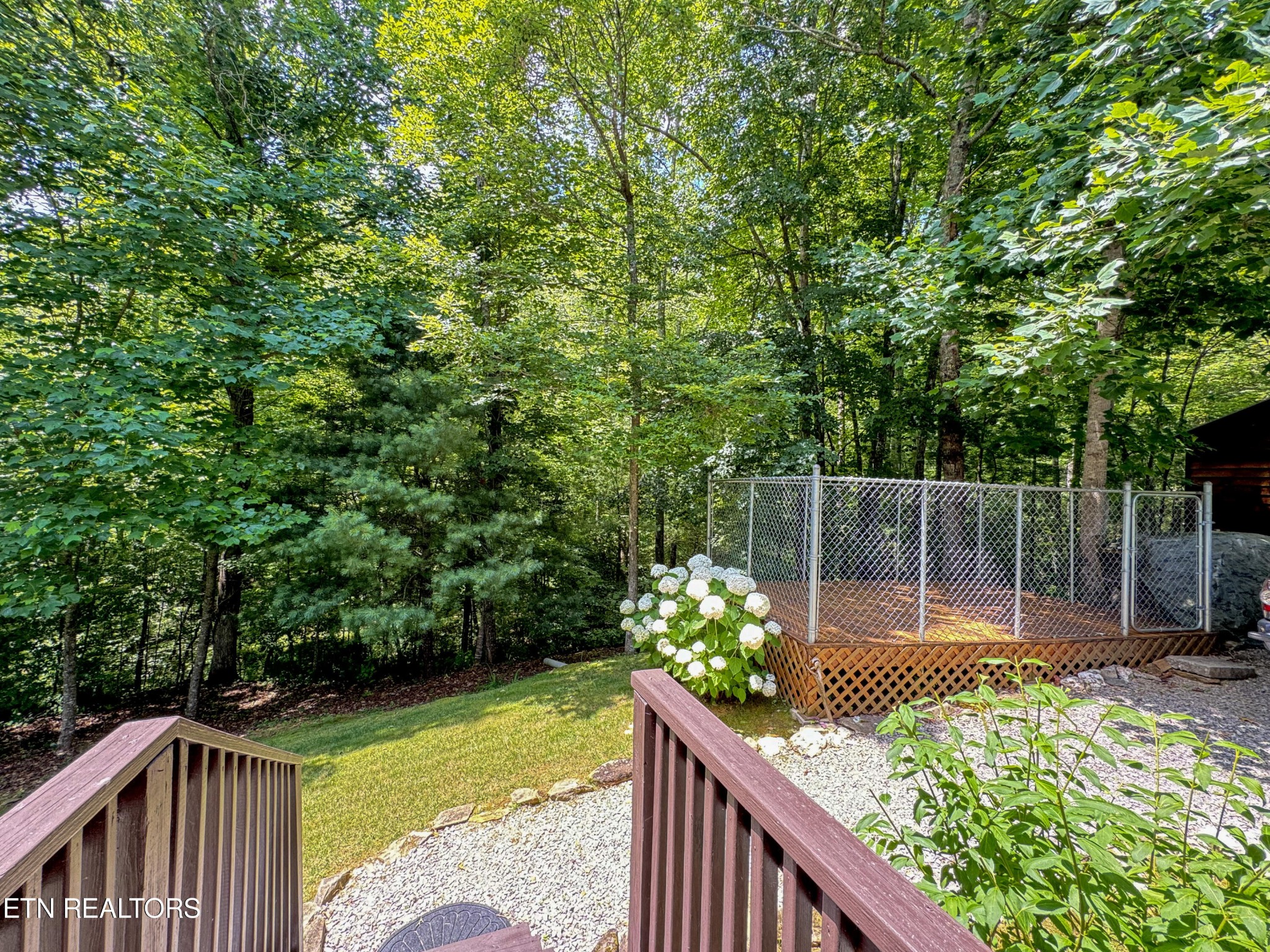823 Yellow Nugget Road Tellico Plains, TN 37385 - Photo 39 of 59 Gallery Image 39