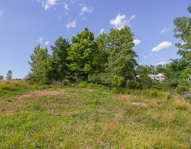 4575 Laurel Road Brunswick, OH 44212 - Photo 2 of 3 Gallery Image 2