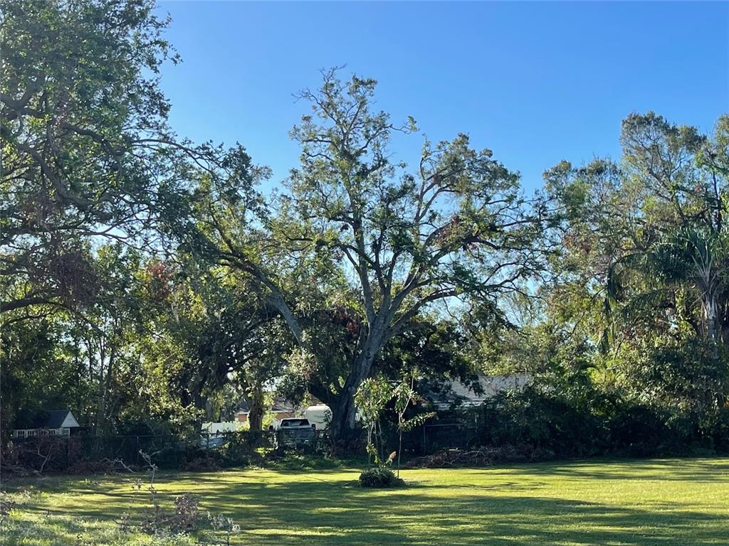 4320 Wilkinson Road Sarasota, FL 34233 - Photo 1 of 1 Gallery Image 1