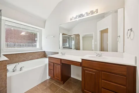 a bathroom with a sink a large mirror and a bathtub
