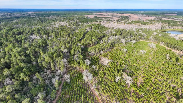 $700,000 | 485 Private Road 5475, Warren, TX 77664