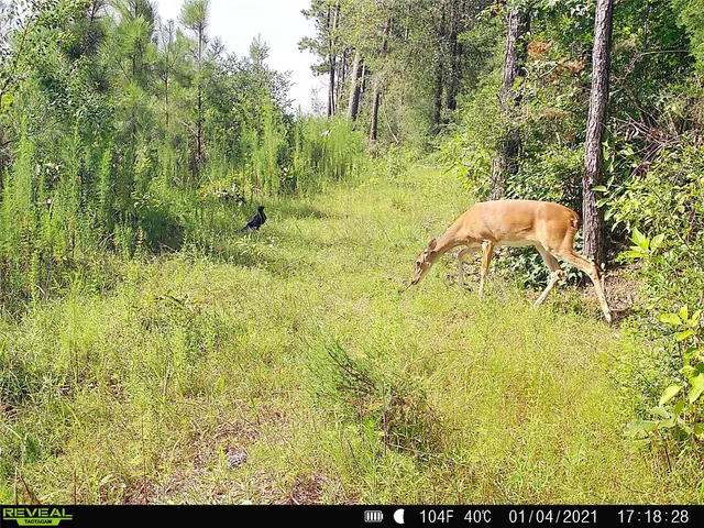 $700,000 | 485 Private Road 5475, Warren, TX 77664