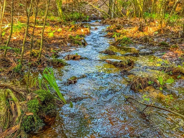 $700,000 | 485 Private Road 5475, Warren, TX 77664