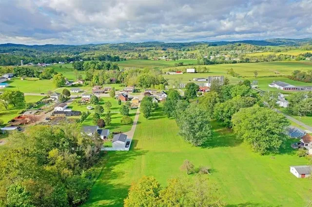 a view of a garden with an ocean