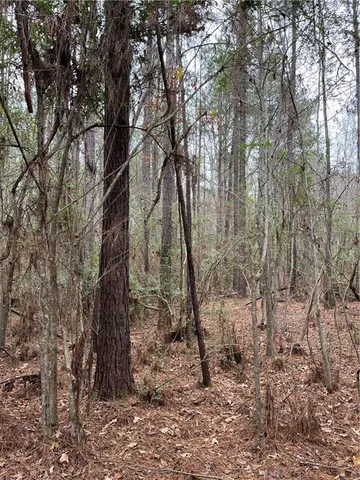 $176,120 | Undisclosed Address, Wilson, LA 70789