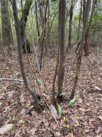 $176,120 | Undisclosed Address, Wilson, LA 70789