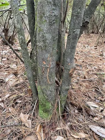 $176,120 | Undisclosed Address, Wilson, LA 70789