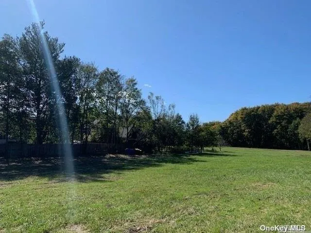 a view of a field of grass and trees
