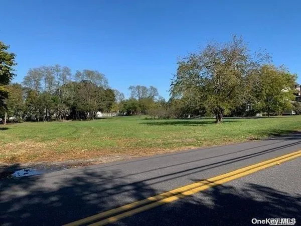 a view of a field with grass and a trees