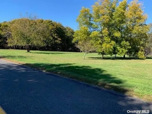 a view of a park with large trees