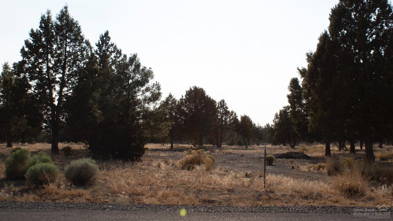 0 Southeast Falcon Ridge Road Prineville, OR 97754 - Photo 2 of 12 Additional Photo
