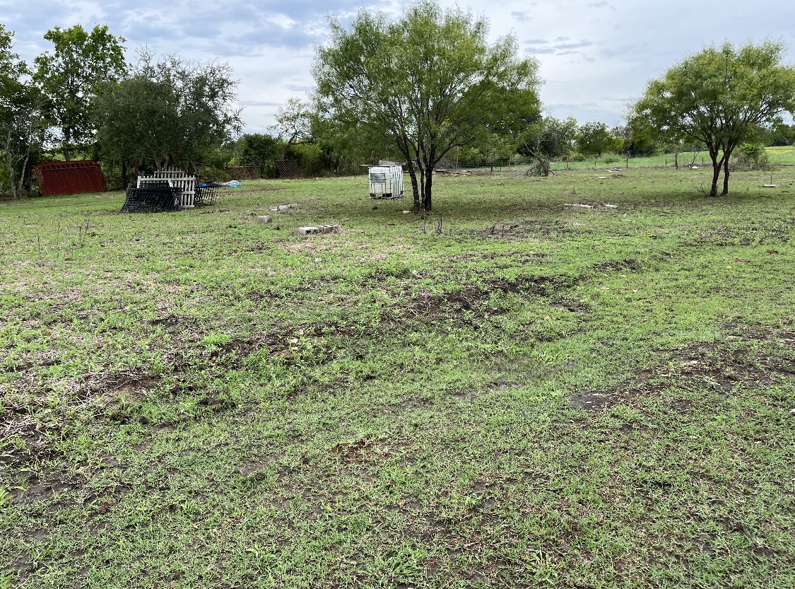 1976 Old Kelley Road Lockhart, TX 78644 - Photo 11 of 11 a view of backyard with tree