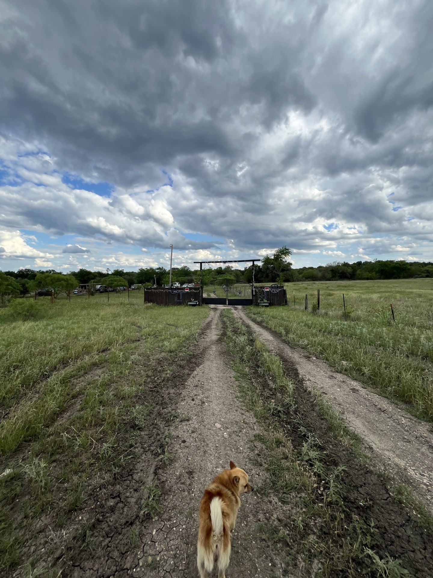 1976 Old Kelley Road Lockhart, TX 78644 - Photo 2 of 11 a view of a lake with houses in back