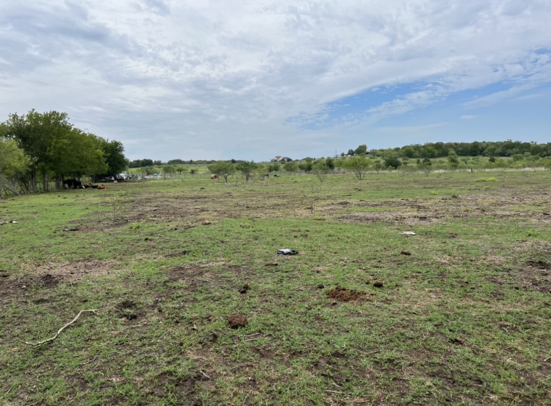 1976 Old Kelley Road Lockhart, TX 78644 - Photo 4 of 11 a view of a field with an ocean and trees