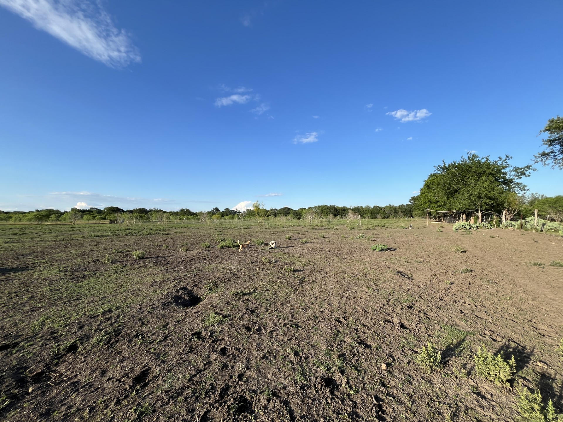 1976 Old Kelley Road Lockhart, TX 78644 - Photo 5 of 11 a view of mountain view and mountain