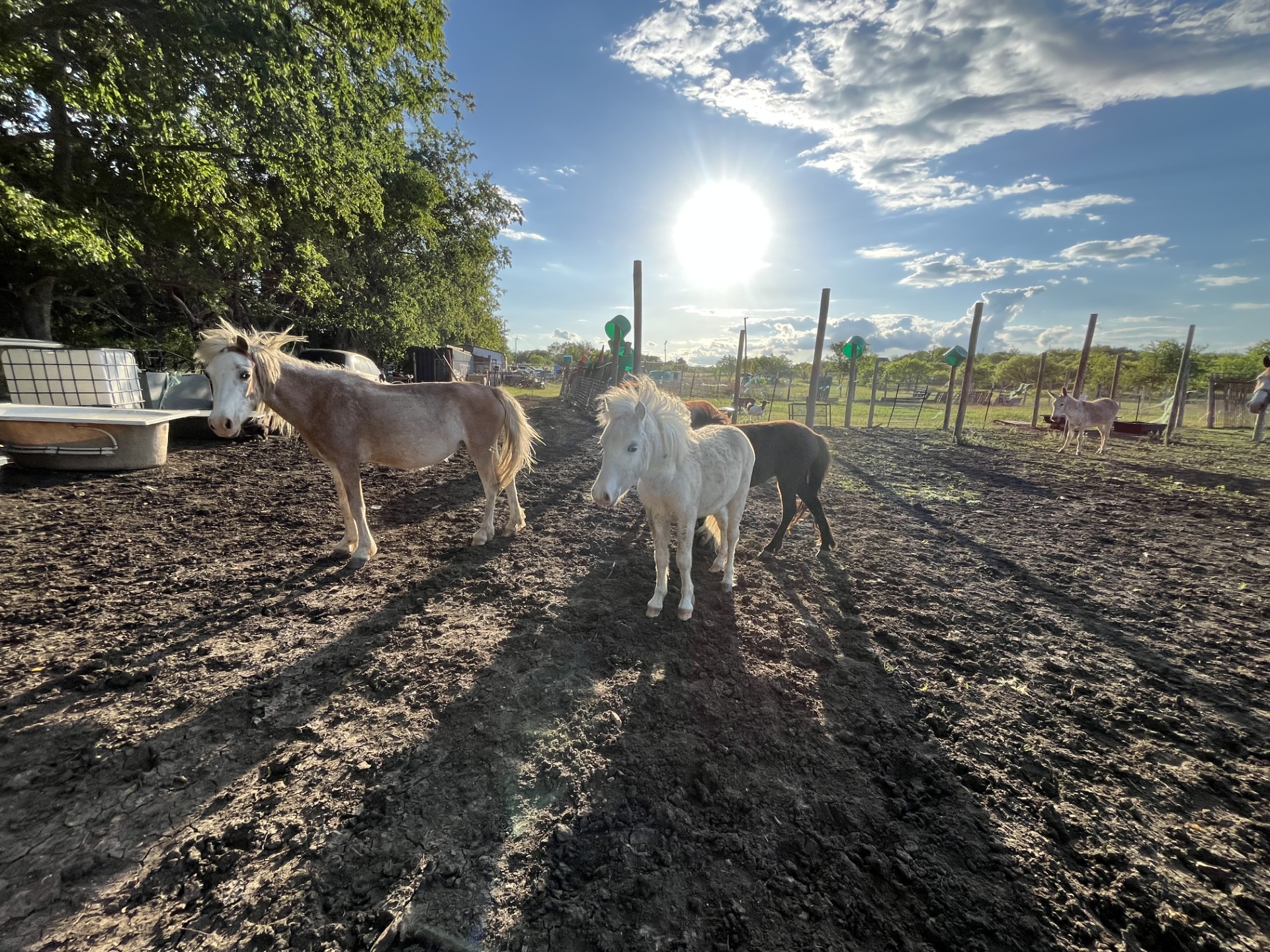 1976 Old Kelley Road Lockhart, TX 78644 - Photo 6 of 11 a view of a backyard with sitting area