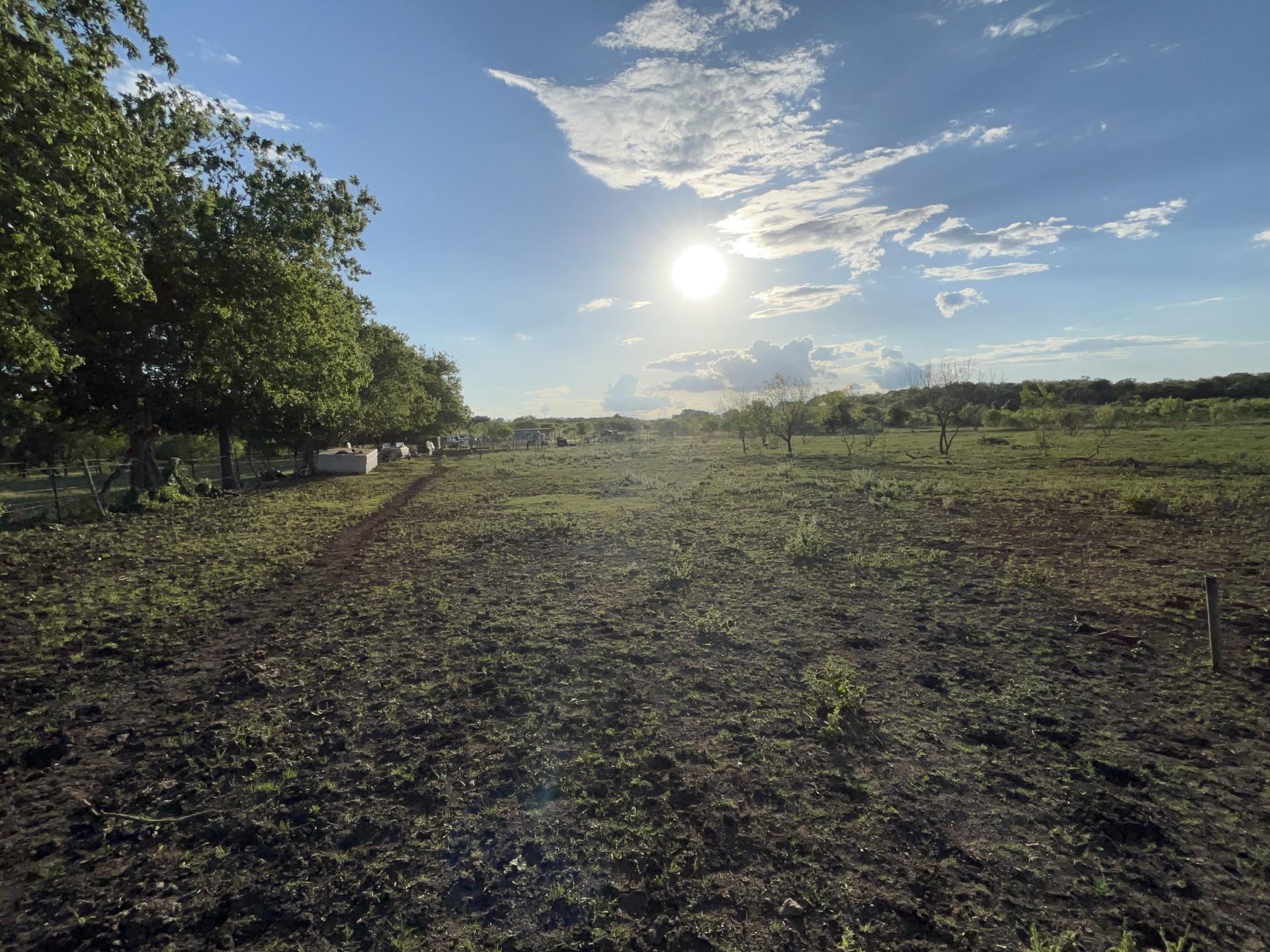 1976 Old Kelley Road Lockhart, TX 78644 - Photo 8 of 11 a view of a field with large trees