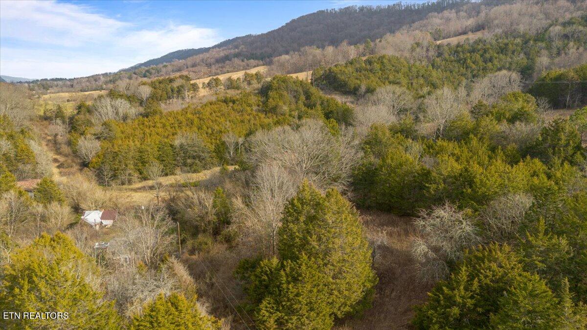 Little Sycamore Road Tazewell, TN 37879 - Photo 11 of 22 11-Little Sycamore