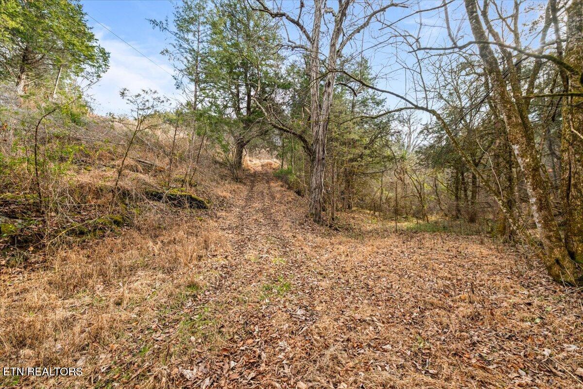 Little Sycamore Road Tazewell, TN 37879 - Photo 12 of 22 14-Little Sycamore