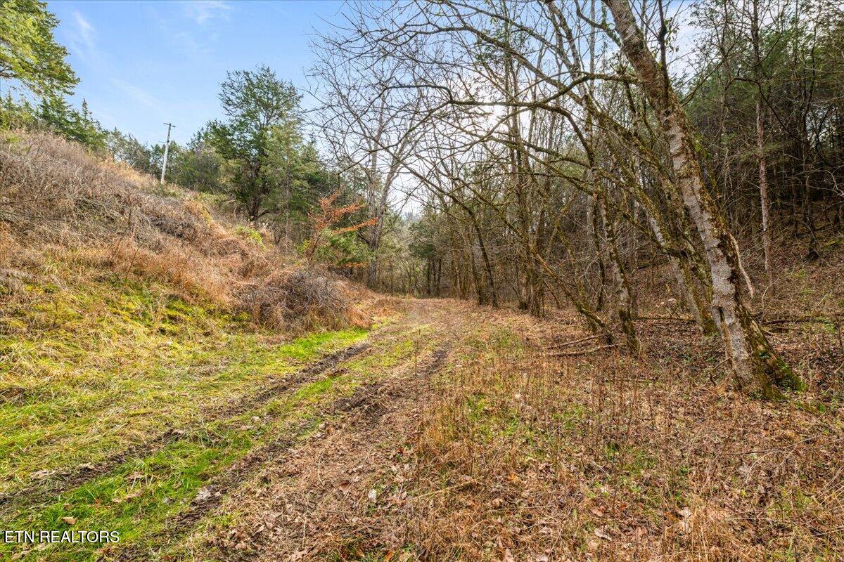 Little Sycamore Road Tazewell, TN 37879 - Photo 13 of 22 12-Little Sycamore