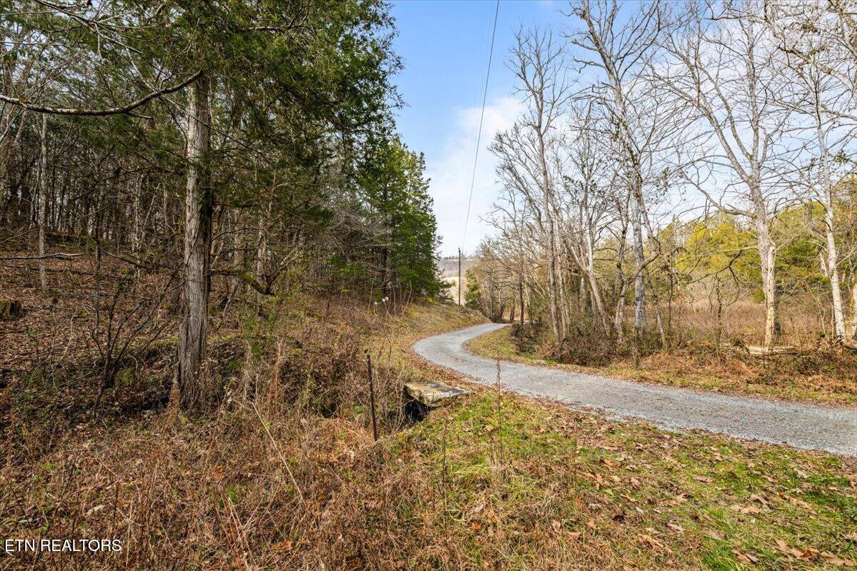 Little Sycamore Road Tazewell, TN 37879 - Photo 14 of 22 13-Little Sycamore