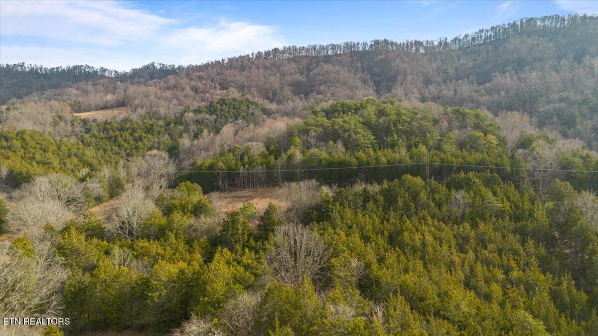 Little Sycamore Road Tazewell, TN 37879 - Photo 15 of 22 09-Little Sycamore