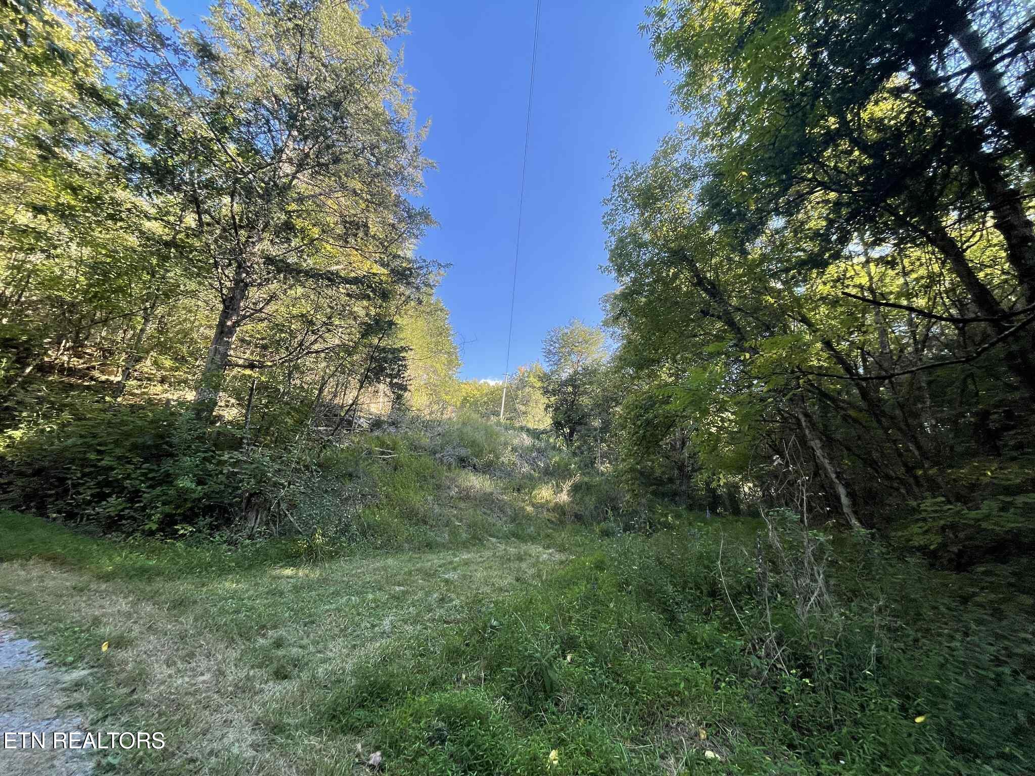 Little Sycamore Road Tazewell, TN 37879 - Photo 16 of 22 bf298a2d-169f-49e2-9df8-9569dff597ab