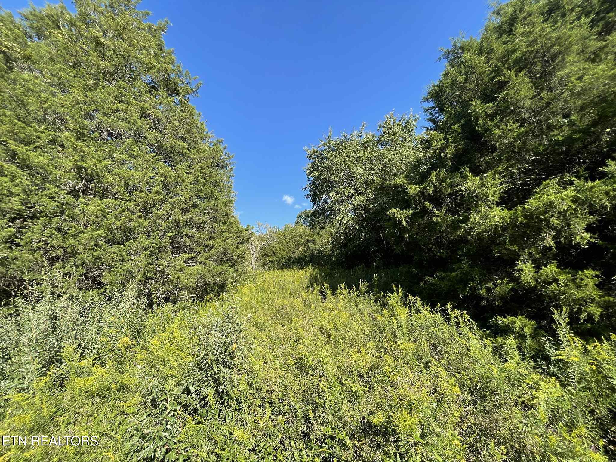 Little Sycamore Road Tazewell, TN 37879 - Photo 19 of 22 761c0fd8-2a37-4daa-8a77-788d4c3ba3da