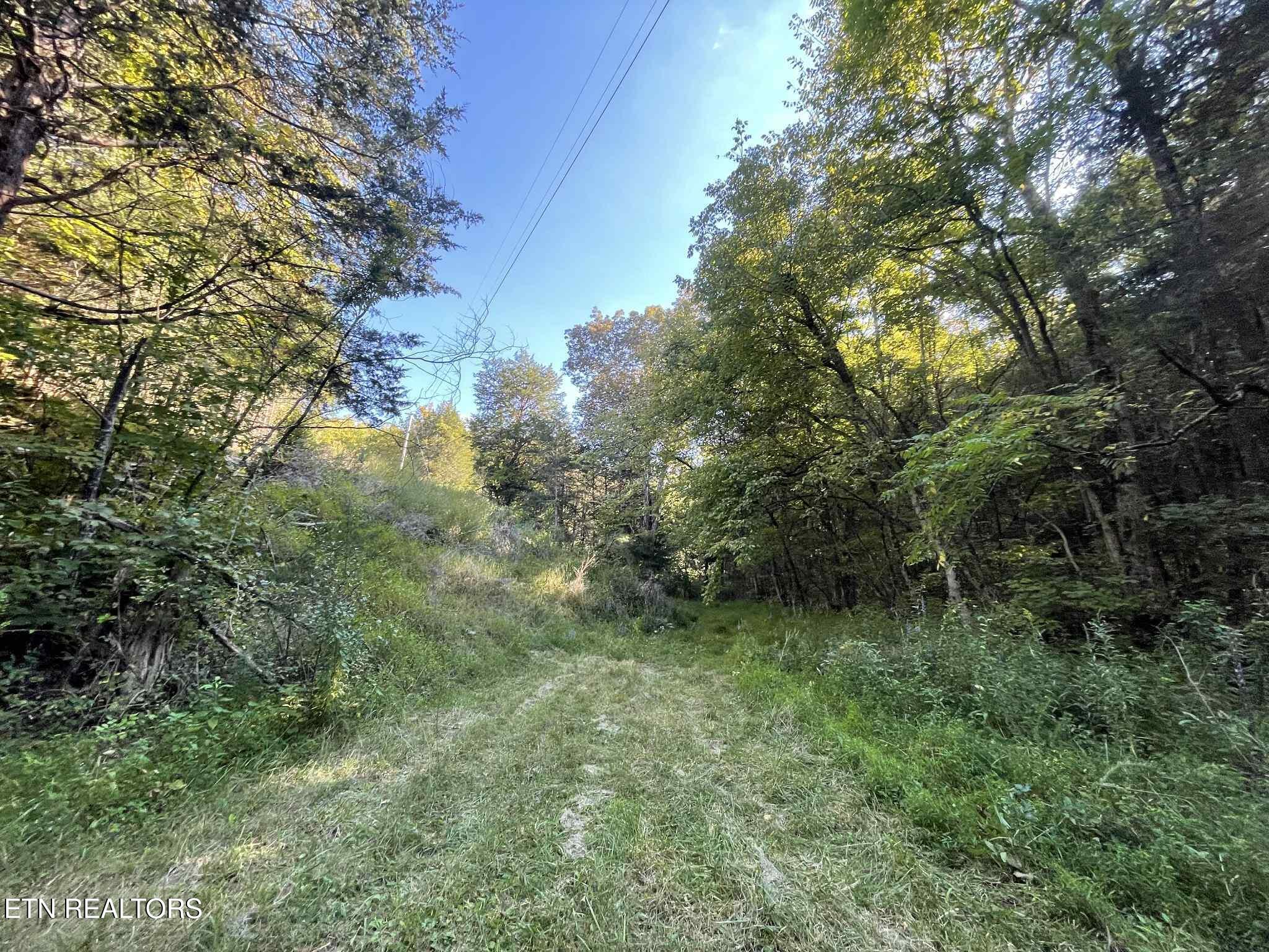 Little Sycamore Road Tazewell, TN 37879 - Photo 2 of 9 5f64f6b3-431c-4647-8f88-97071e1fdb36