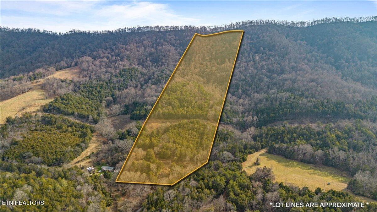 Little Sycamore Road Tazewell, TN 37879 - Photo 3 of 22 15-Little Sycamore