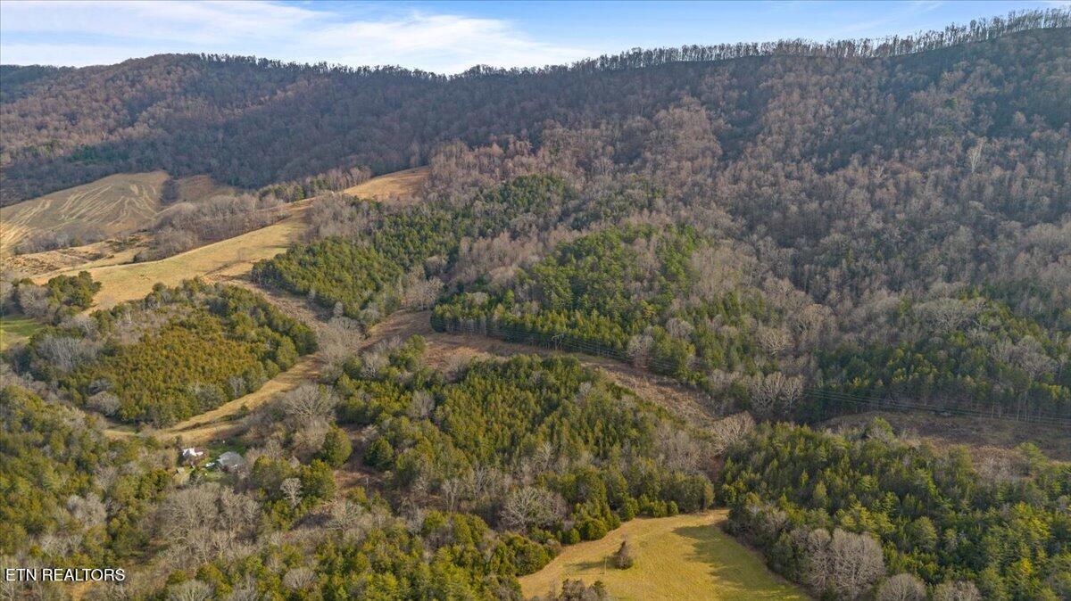 Little Sycamore Road Tazewell, TN 37879 - Photo 4 of 22 04-Little Sycamore