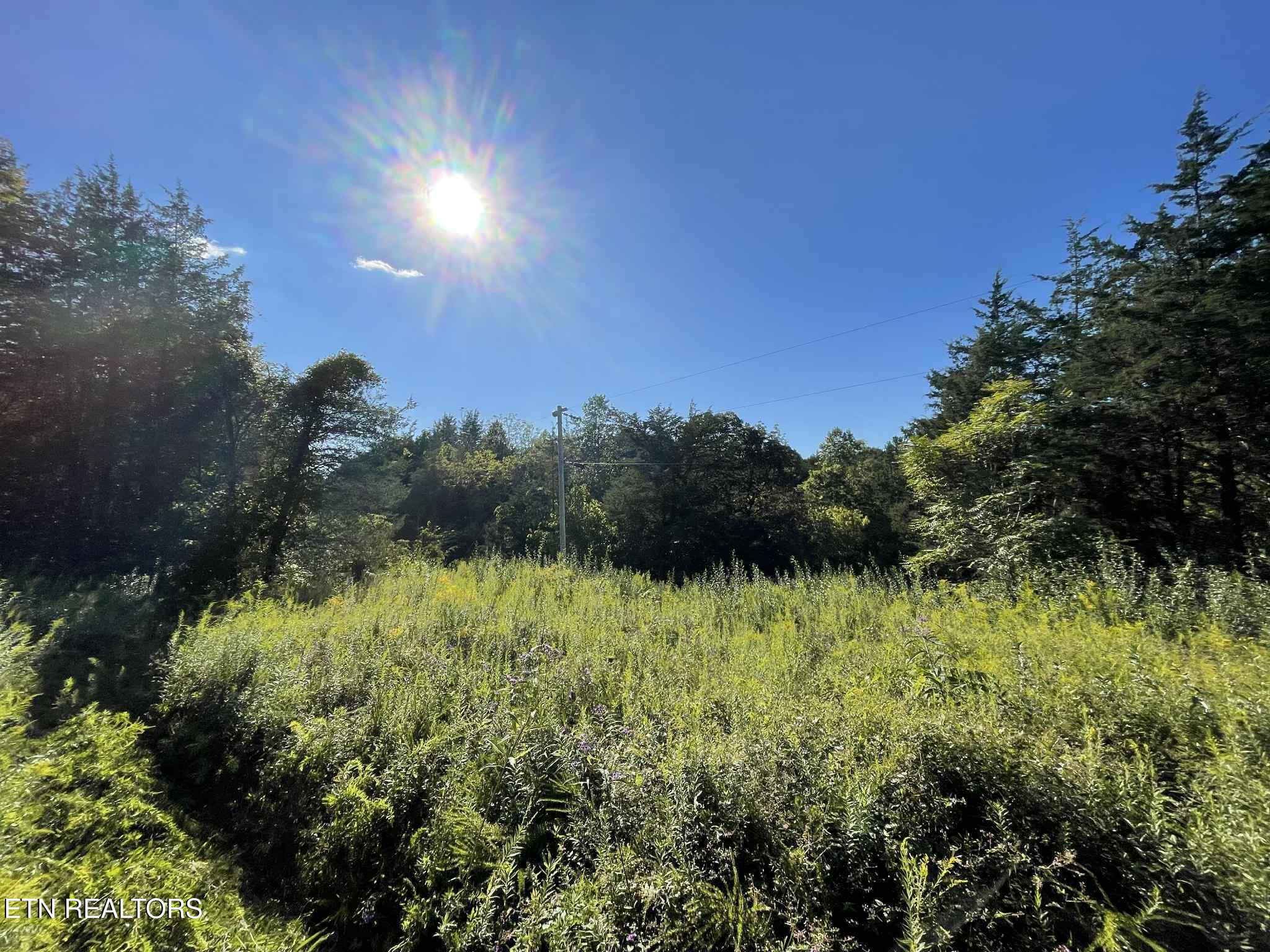 Little Sycamore Road Tazewell, TN 37879 - Photo 4 of 9 4d48dc48-2be1-4e2c-b5fb-a29b74d7cf7f