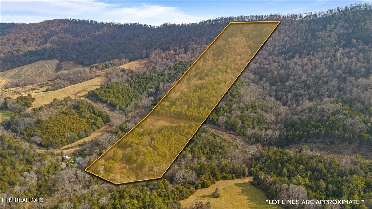 Little Sycamore Road Tazewell, TN 37879 - Photo 5 of 22 02-Little Sycamore