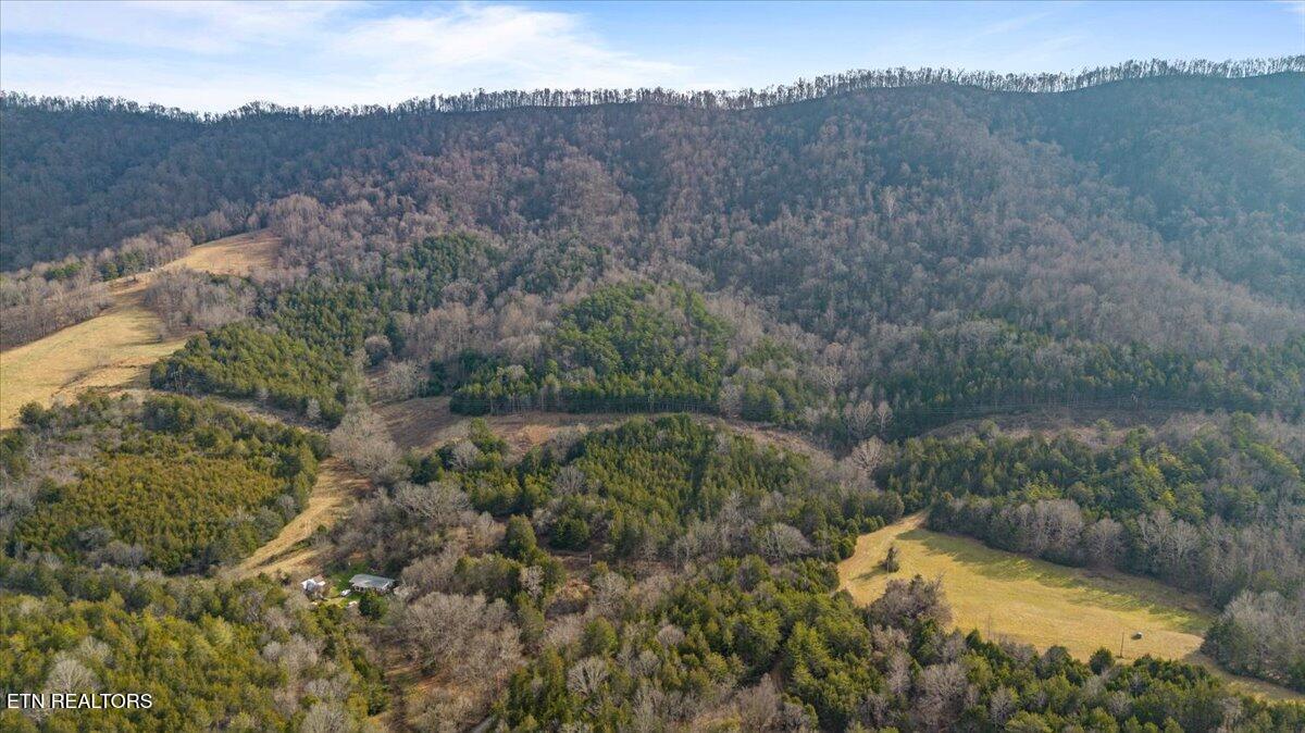 Little Sycamore Road Tazewell, TN 37879 - Photo 6 of 22 05-Little Sycamore
