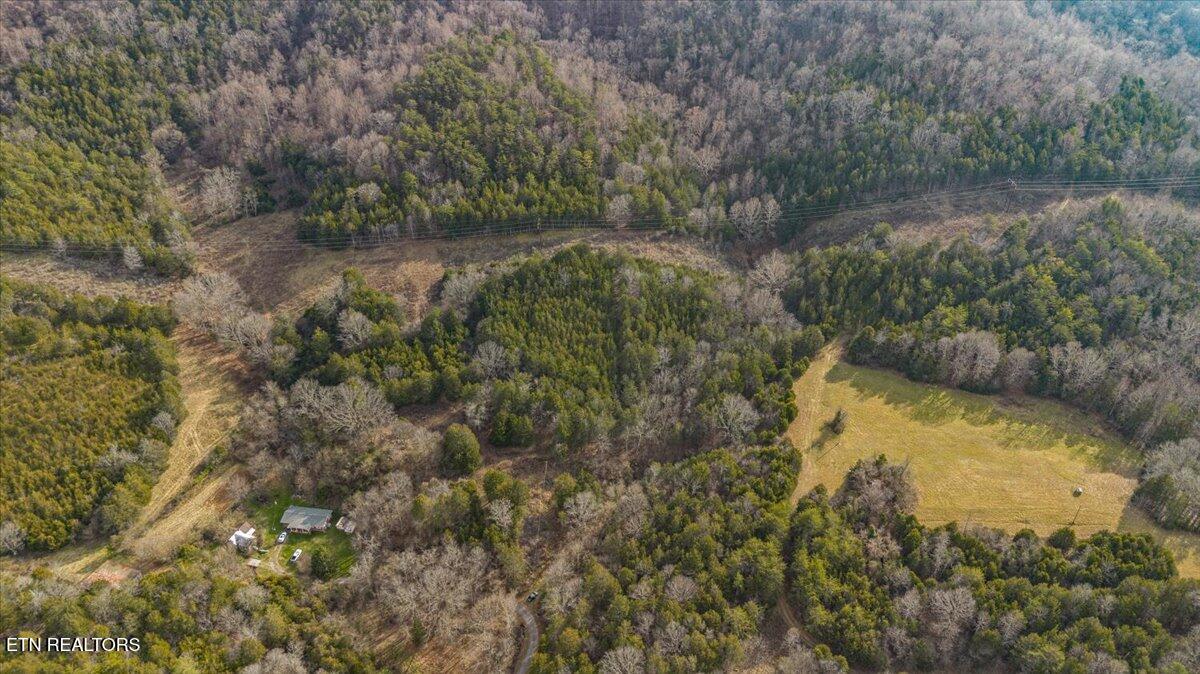 Little Sycamore Road Tazewell, TN 37879 - Photo 7 of 22 06-Little Sycamore