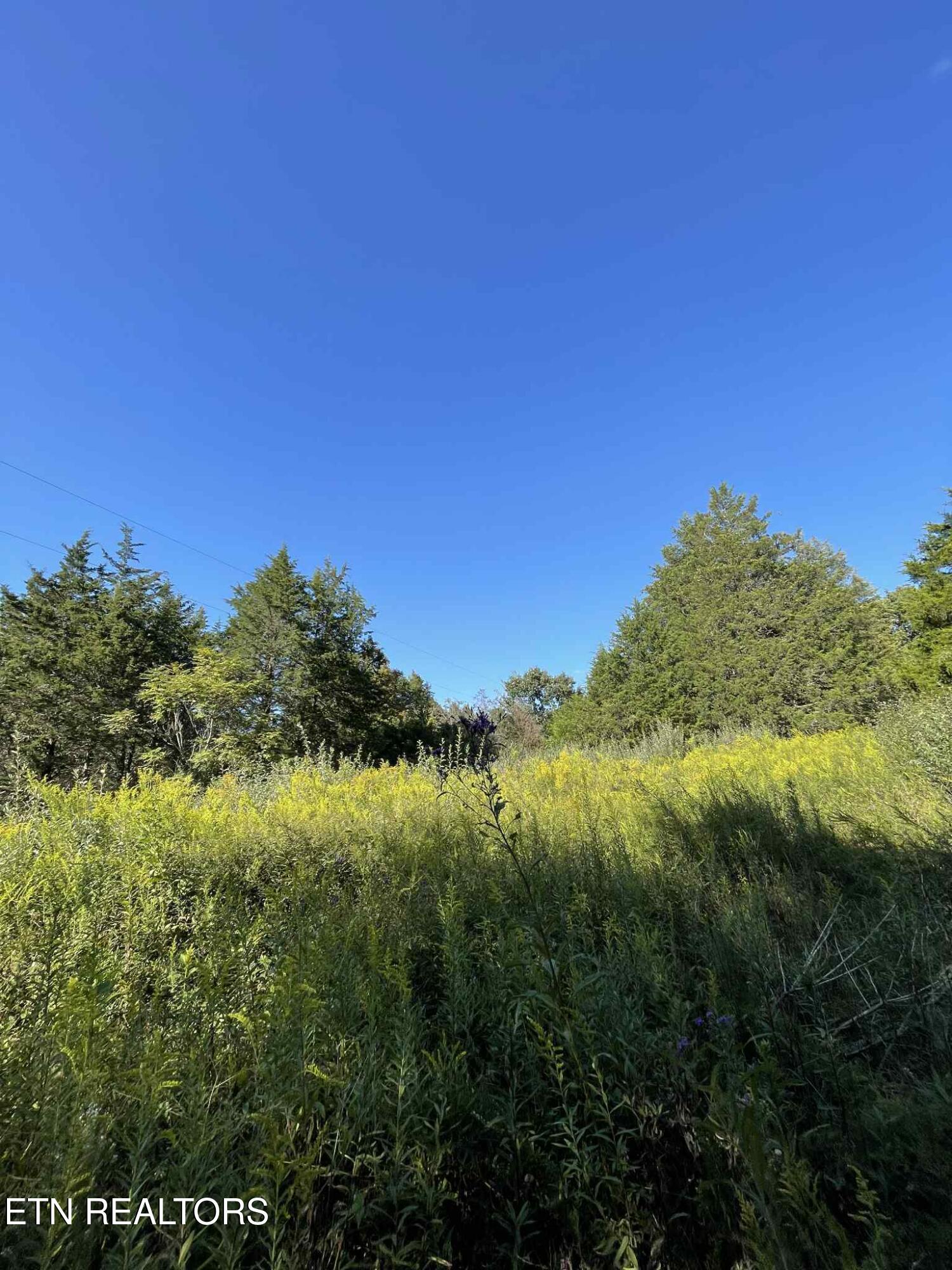 Little Sycamore Road Tazewell, TN 37879 - Photo 8 of 9 93a30c5f-ad50-4eb5-b5ad-6e9b2d180363