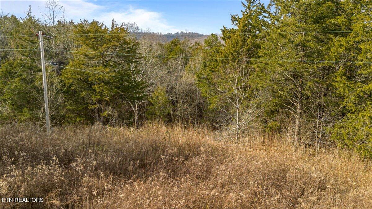 Little Sycamore Road Tazewell, TN 37879 - Photo 9 of 22 10-Little Sycamore