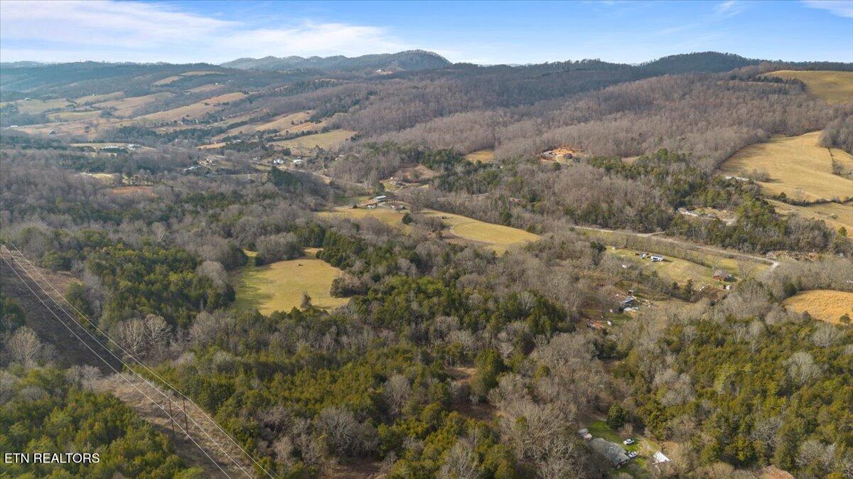 Little Sycamore Road Tazewell, TN 37879 - Photo 10 of 22 08-Little Sycamore