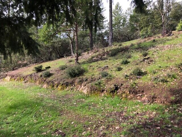 526 Slate Creek Road Wilderville, OR 97543 - Photo 60 of 67 Property around the home