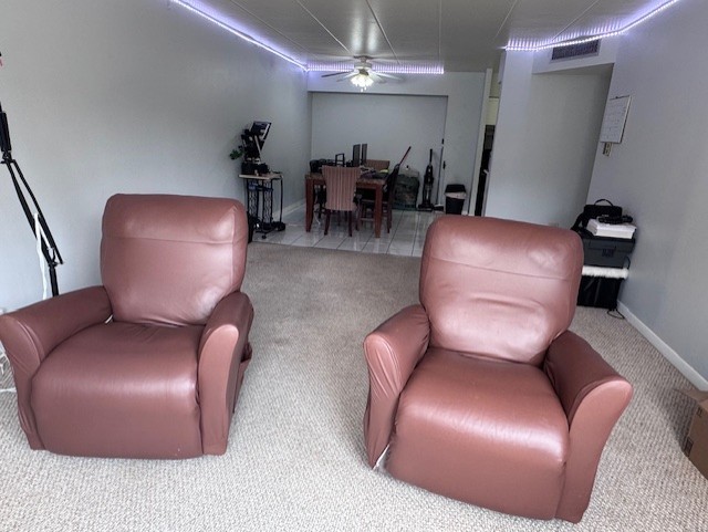 300 South Roselle Road, Unit 307 Schaumburg, IL 60193 - Photo 9 of 16 Gallery Image 9