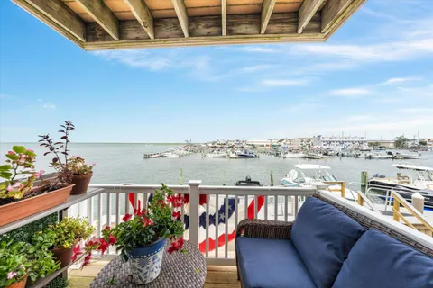 a view of a balcony and a potted plant
