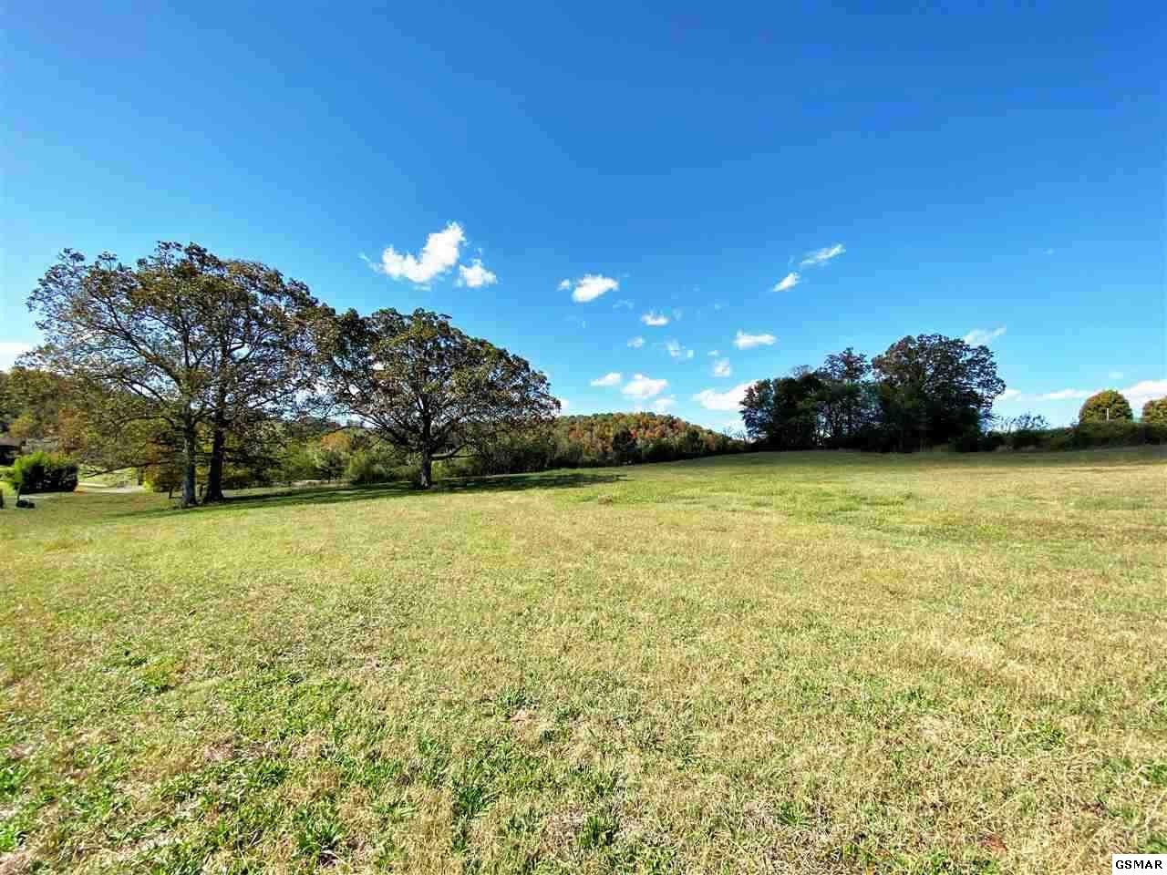 3 Holston View Road New Market, TN 37820 - Photo 16 of 18