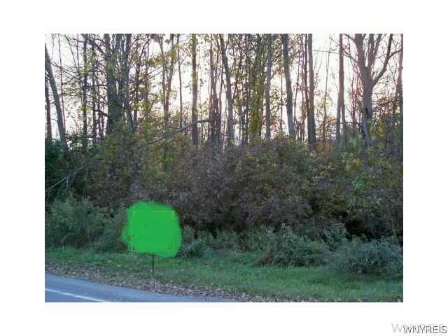 168 Miller Road Amherst, NY 14068 - Photo 1 of 1 Land/Lot