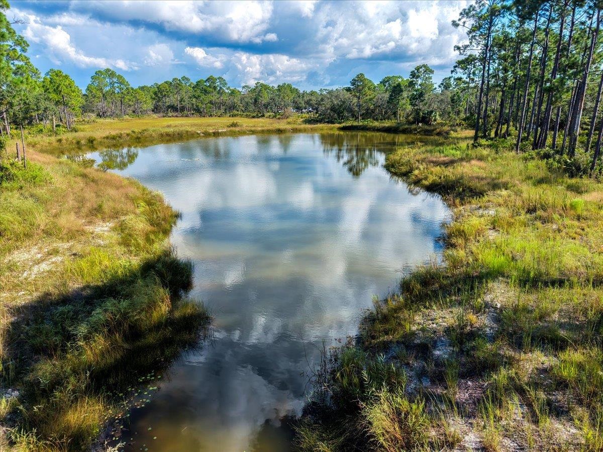 Xx Xx Oak Hill Road Perry, FL 32348 - Photo 10 of 31 Gallery Image 10