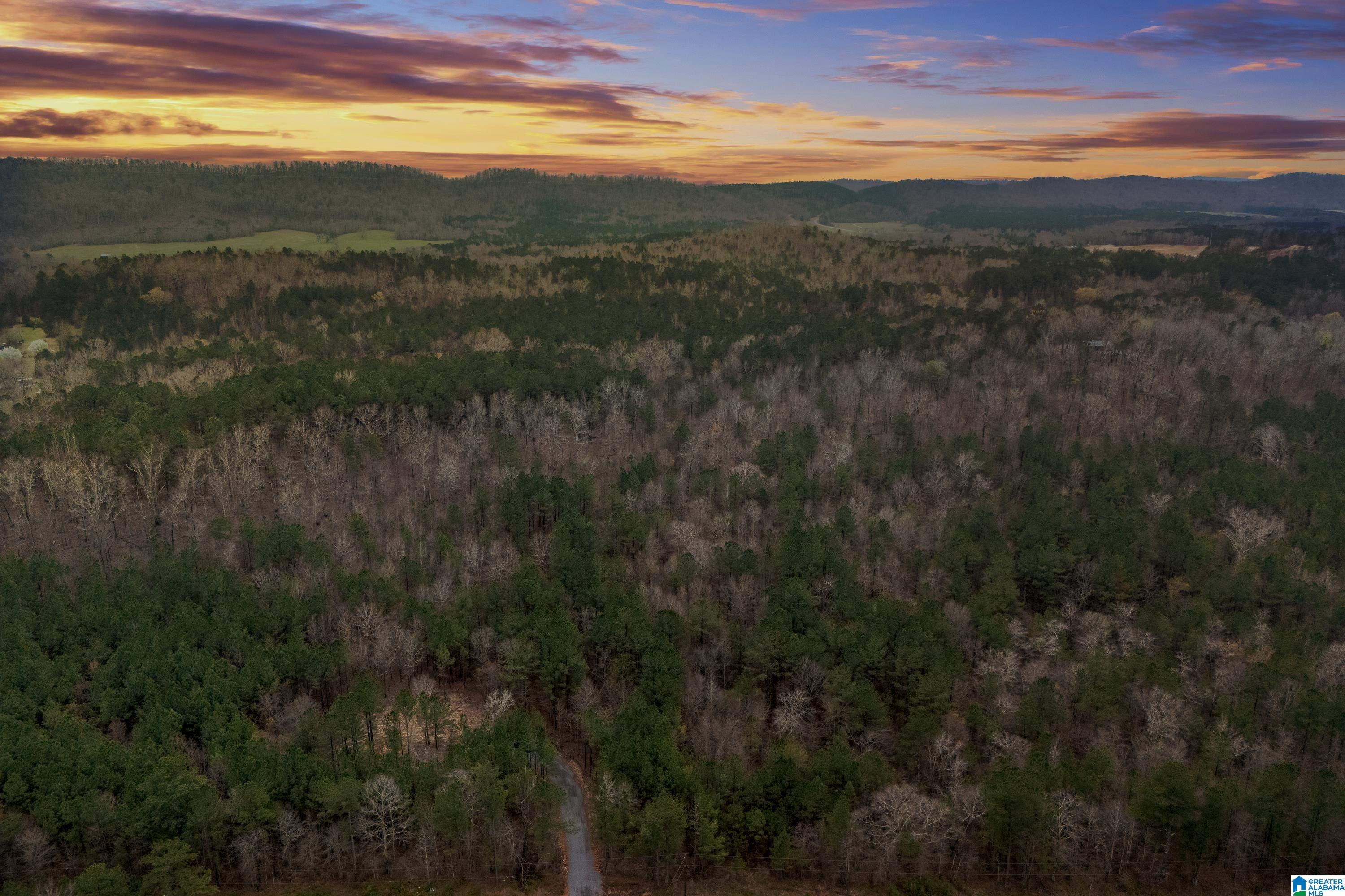 7 Fisher Phillips, Unit 7 Ashville, AL 35953 - Photo 1 of 28