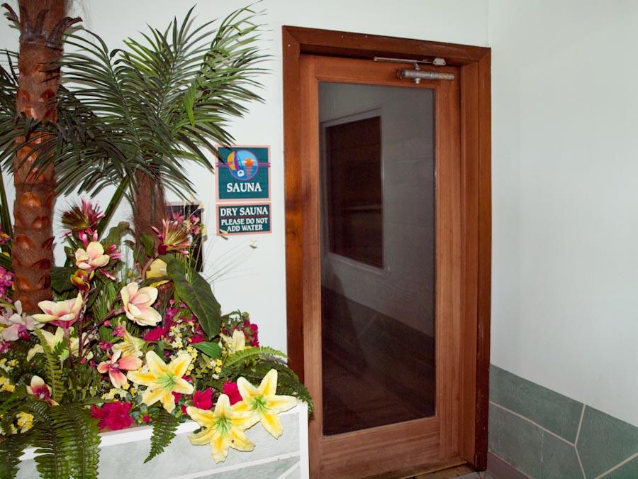 111 Center Street, Unit 403 Lake Geneva, WI 53147 - Photo 26 of 29 Sauna