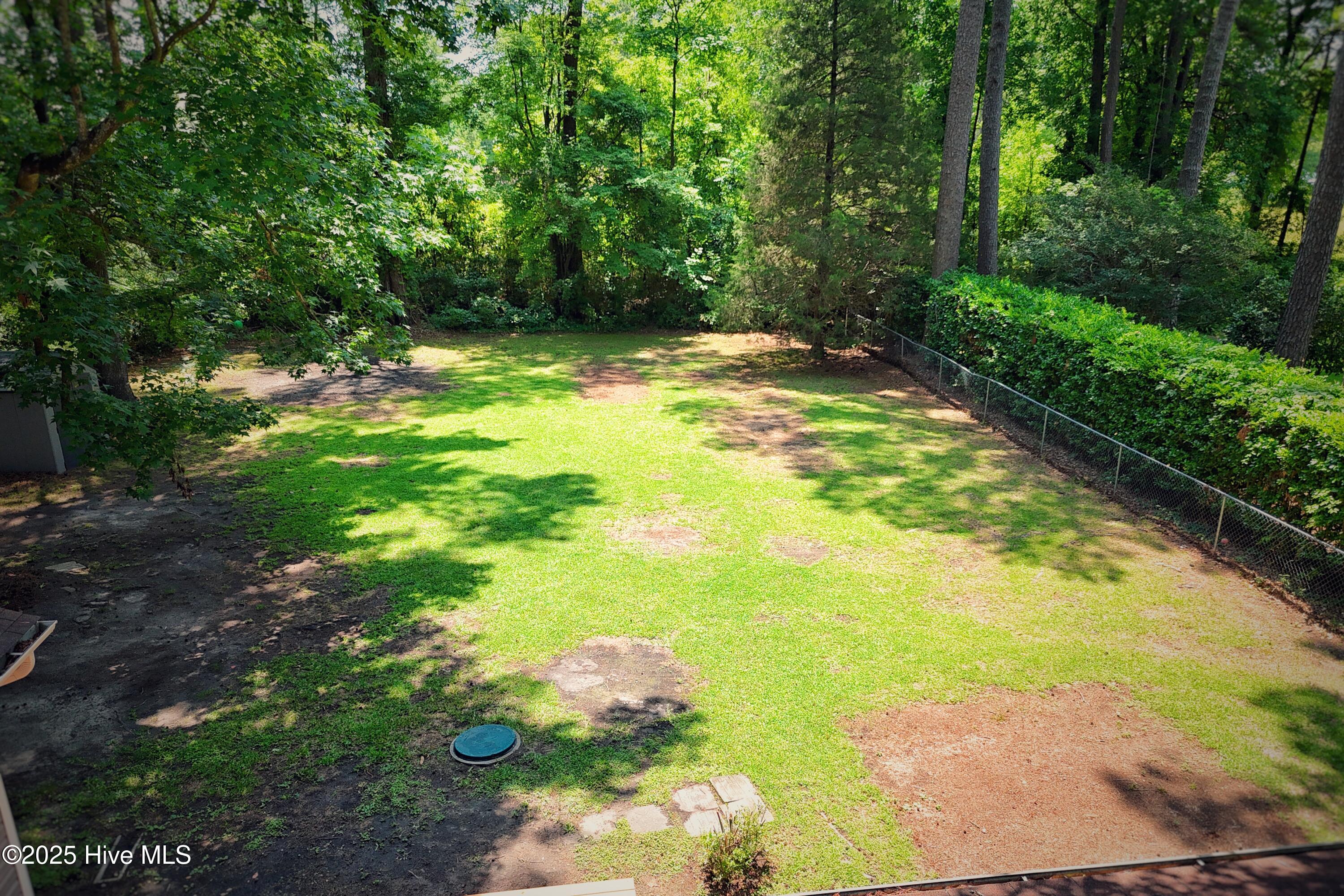429 Swiss Road New Bern, NC 28560 - Photo 22 of 47 Spacious Backyard
